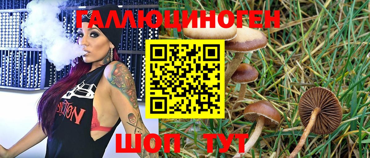 Псилоцибиновые грибы ЛСД  Вход с VPN  Псилоцибиновые грибы Psilocybe  Урай 
